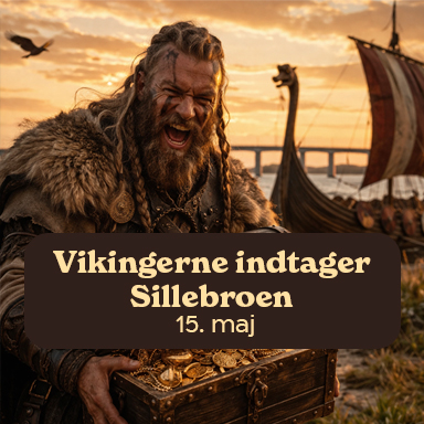 VIKINGERNE INDTAGER SILLEBROEN